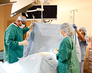 Proveedores de atención médica en el quirófano realizando una cirugía.